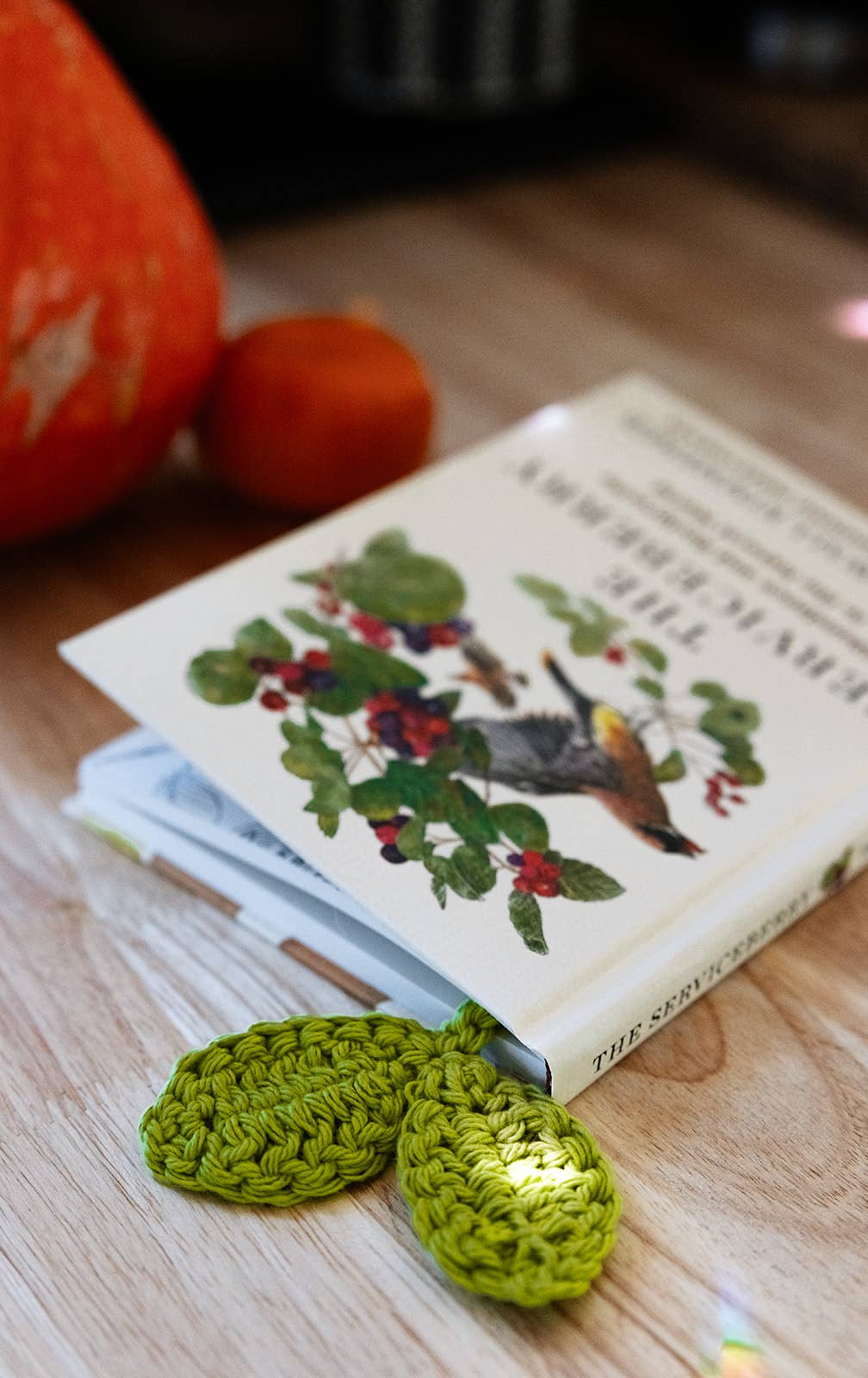 Book with bird illustration on a wooden surface with green knitted items.