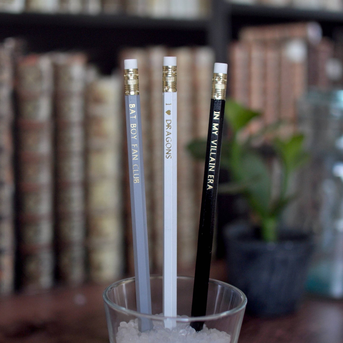 Fantasy Book Lover Pencil & Bookmark Set – Villains, Dragons, Bat Boys