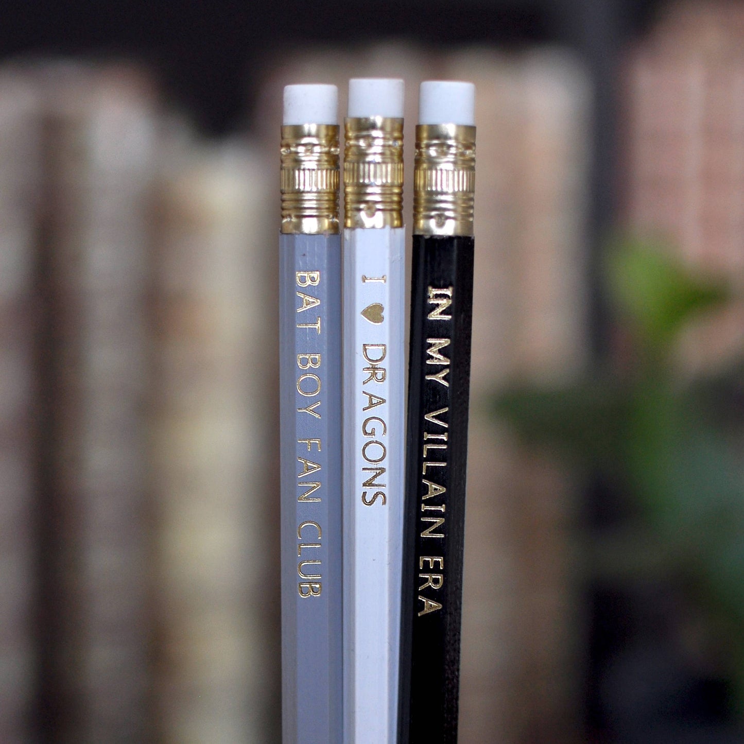 Fantasy Book Lover Pencil & Bookmark Set – Villains, Dragons, Bat Boys