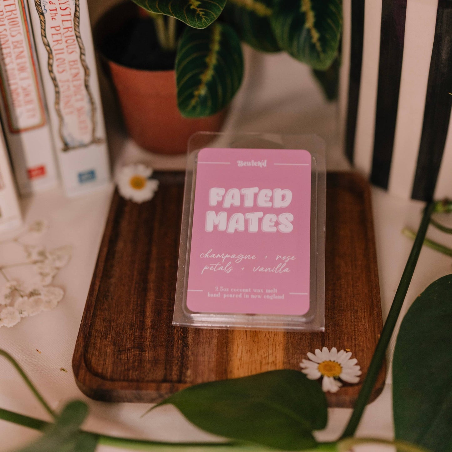 Fated Mates Wax Melt – Book-Inspired Coconut Blend Wax
