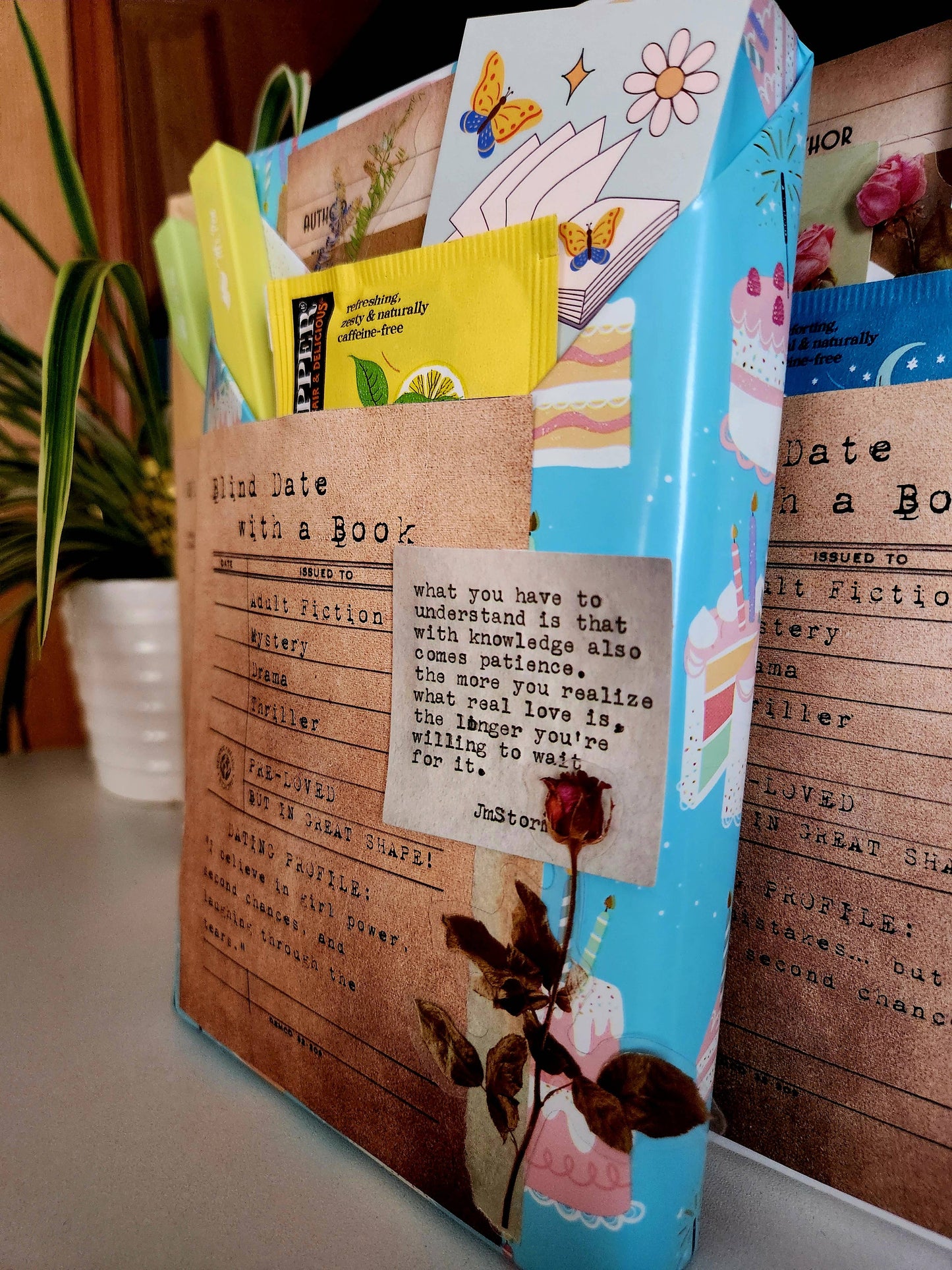 Blind Date with a Book & Tea Cozy Gift Bundle