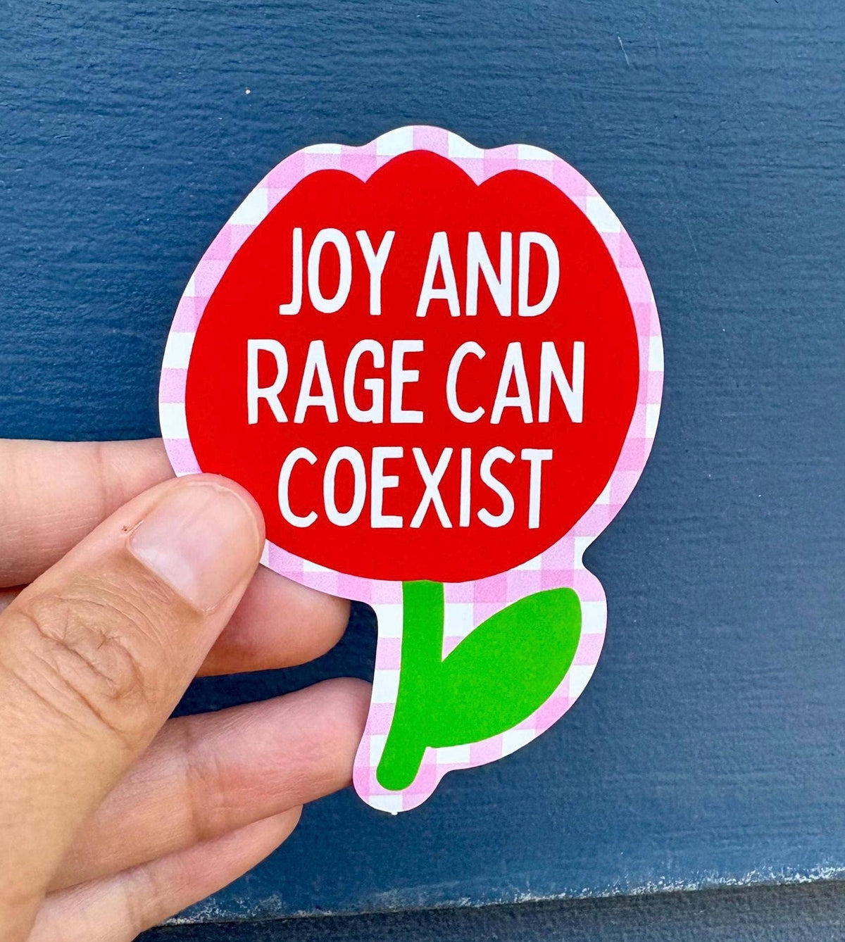 Hand holding a red flower-shaped sticker with 'Joy and Rage Can Coexist' text against a blue background