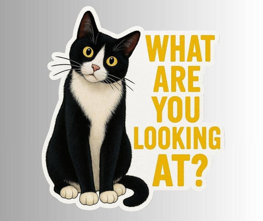 Sticker of a black and white cat with text 'What are you looking at?' on a gray background