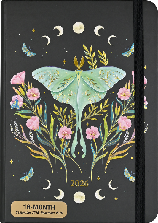 Luna Moth Gift Set