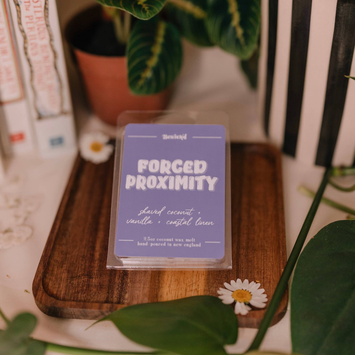 Forced Proximity Wax Melt – Book Trope Inspired Scent