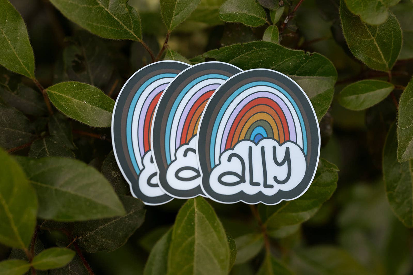 Three rainbow cloud stickers with 'ally' text on a leafy background