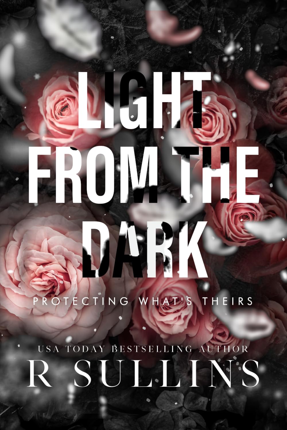 Light From The Dark: Protecting What's Theirs | Signed by Author Special Edition