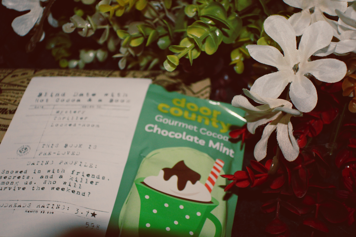 Blind Date with a Book & Hot Cocoa Gift Set