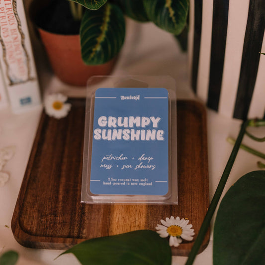 Grumpy Sunshine Wax Melt – Book-Inspired Coconut Blend Wax