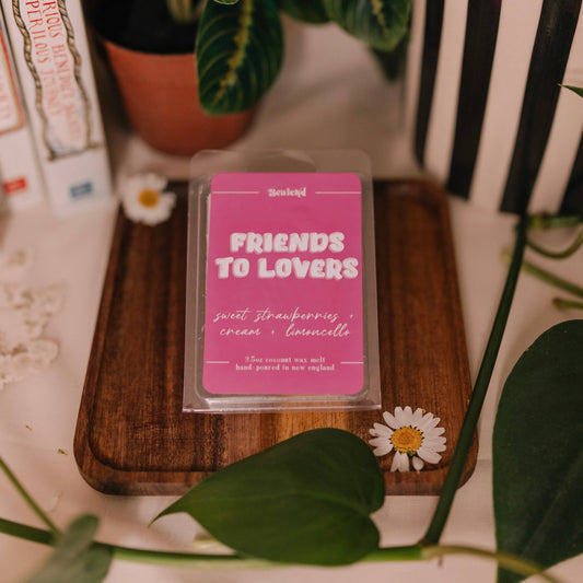 Friends to Lovers Wax Melt – Book Trope Inspired Scent