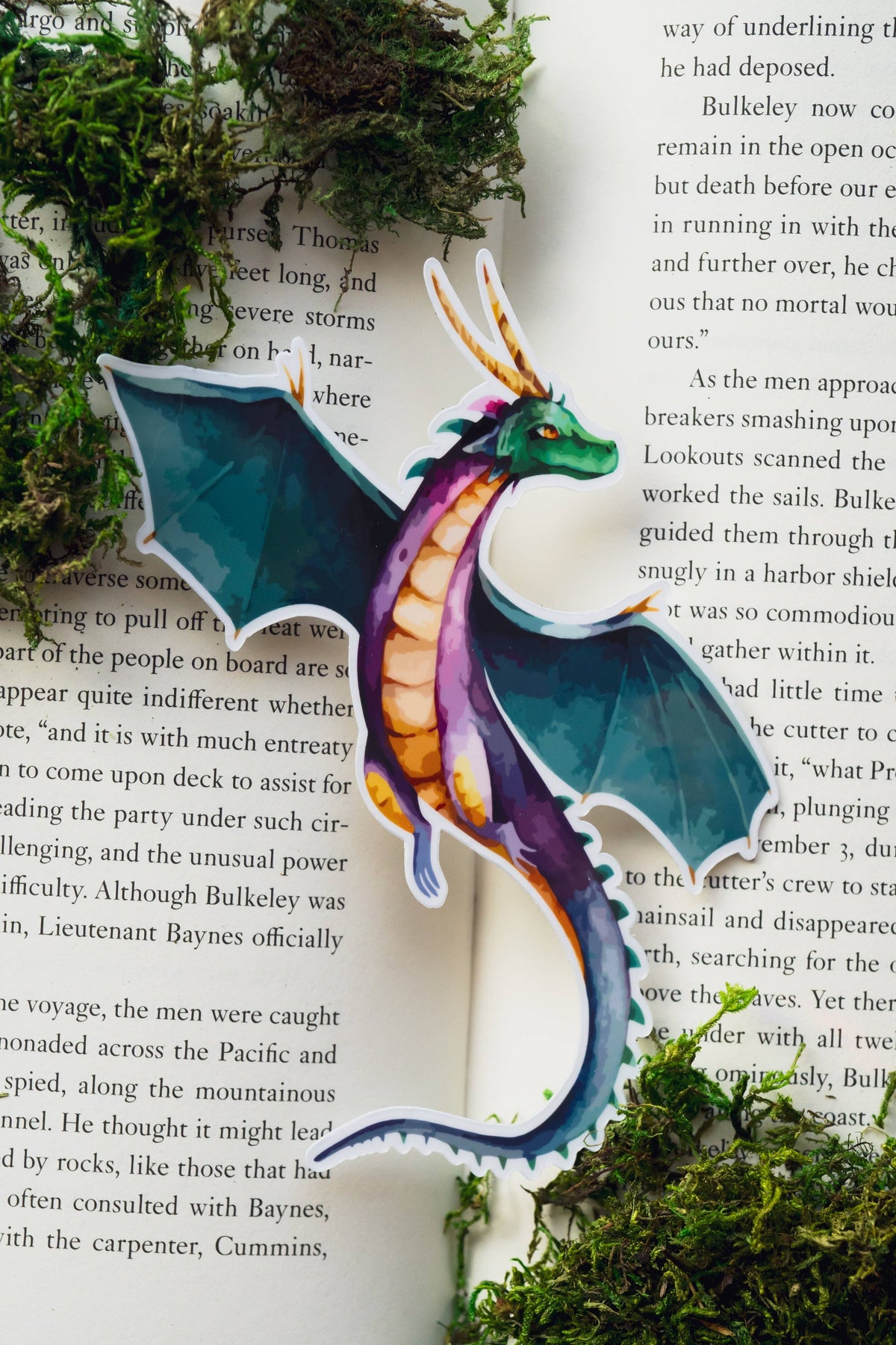 Colorful dragon illustration on an open book with greenery