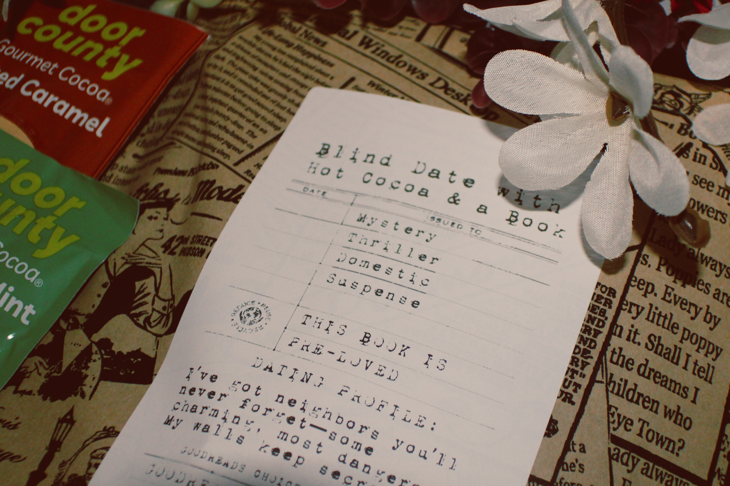 Blind Date with a Book & Hot Cocoa Gift Set