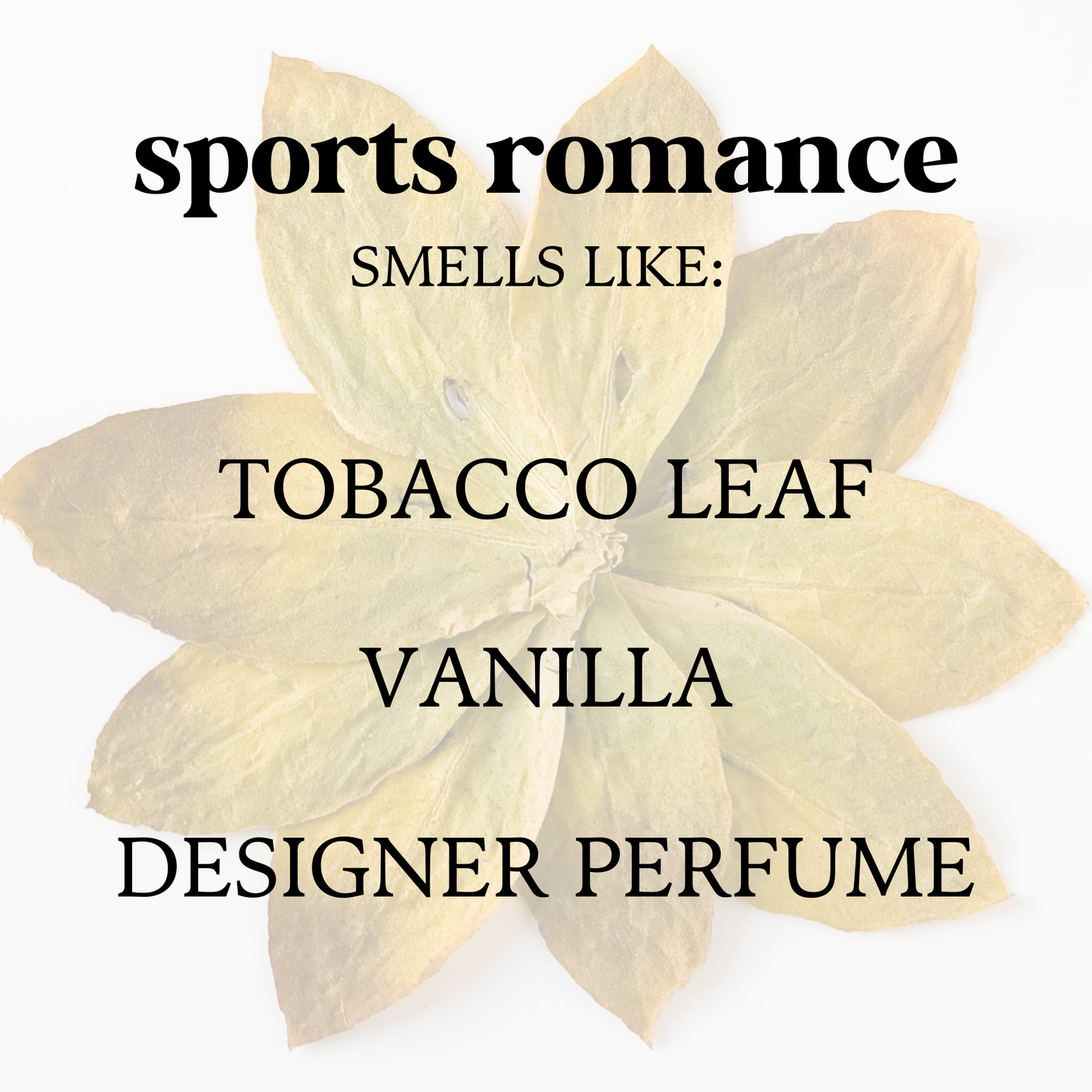 Sports Romance Candle – Bookish Travel Candle